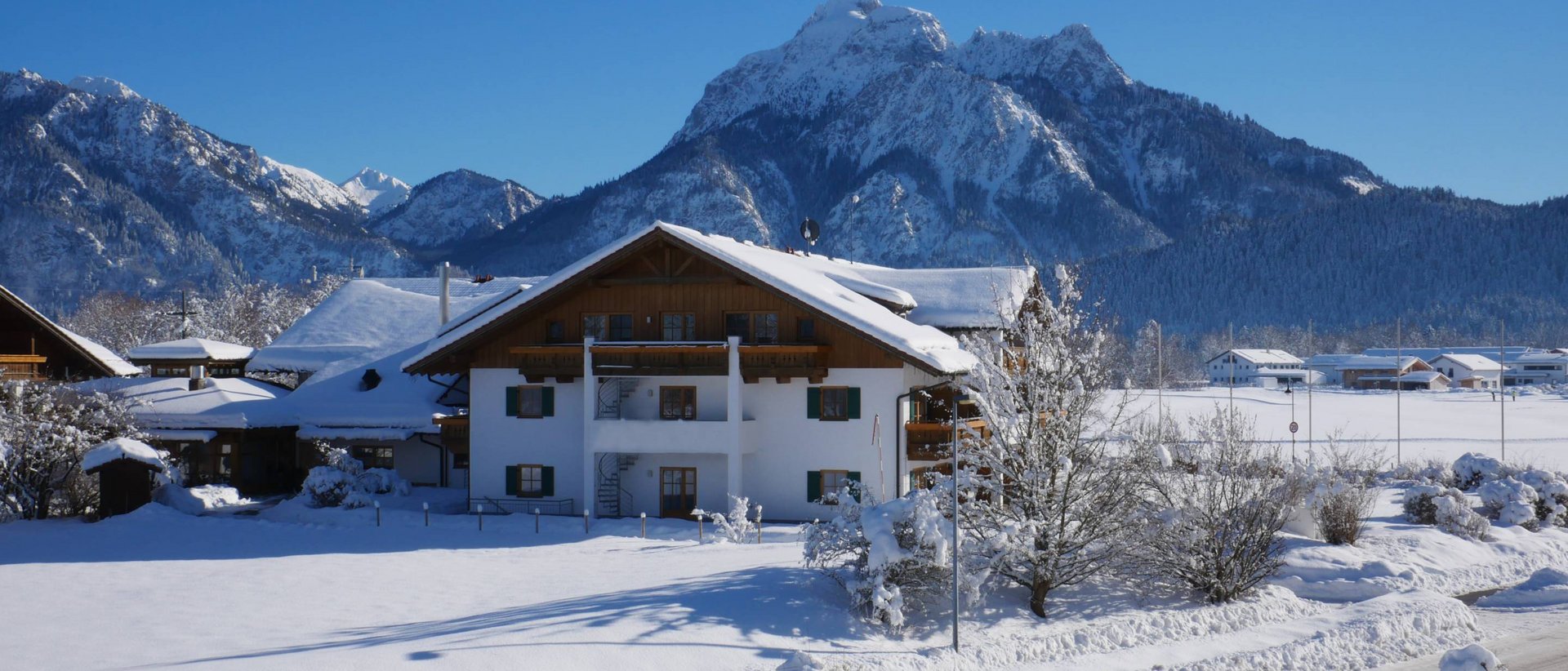 Urlaub mit Hund im Allgäu? Kein Problem im Hotel Sommer. Urlaub mit Hund im Allgäu? Kein Problem im Hotel Sommer.