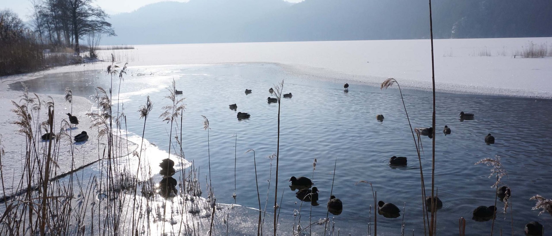 Direkt am Forggensee | Hotel Sommer Direkt am Forggensee | Hotel Sommer