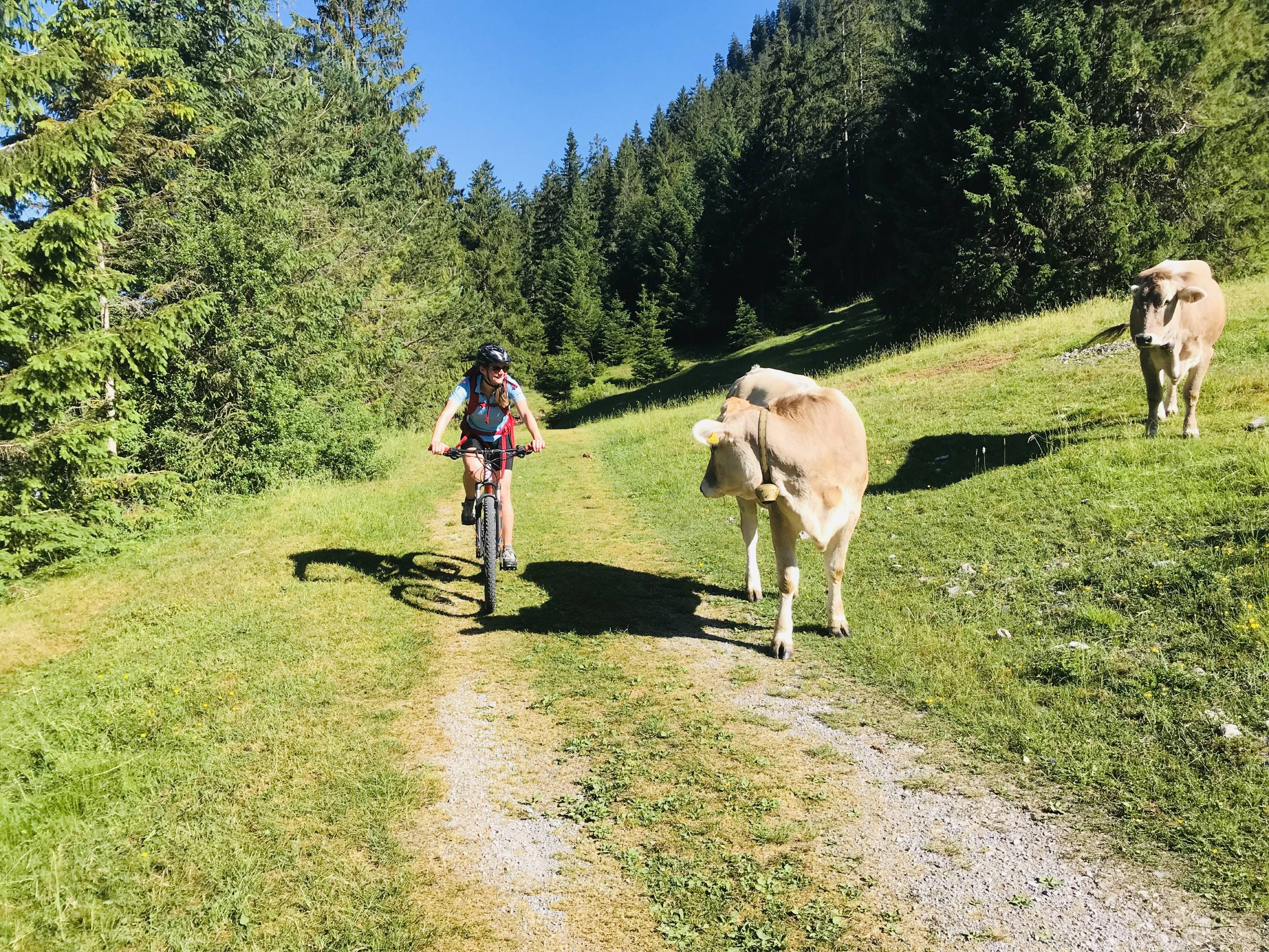 Sommerurlaub im Allgäu | Hotel Sommer Sommerurlaub im Allgäu | Hotel Sommer