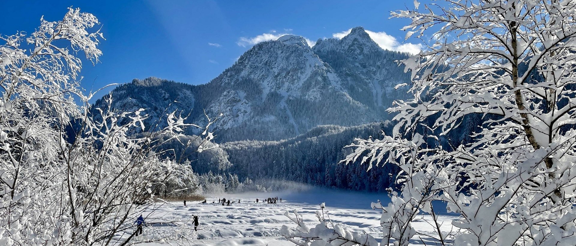 Hotel mit Hund im Allgäu: Infos von A bis Z